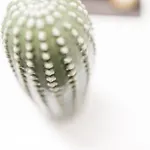 Agave Santorini Design Boutique 3*