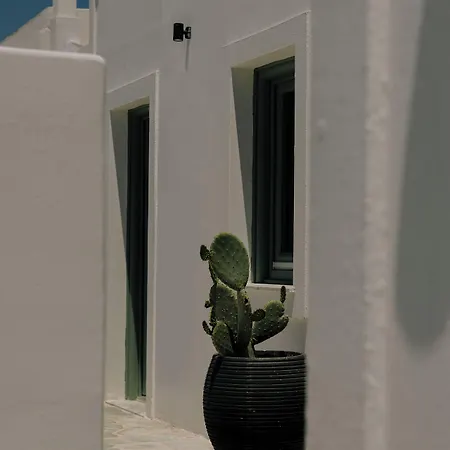 Agave Santorini Design Boutique 아파트호텔 4*