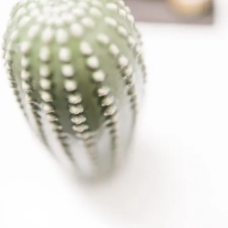 Agave Santorini Design Boutique 3*