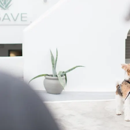 Guest house Agave Santorini Design Boutique Imerovigli (Santorini)
