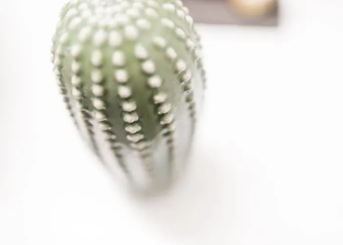 Agave Santorini Design Boutique 4*