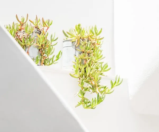 Agave Santorini Design Boutique Imerovigli (Santorini)