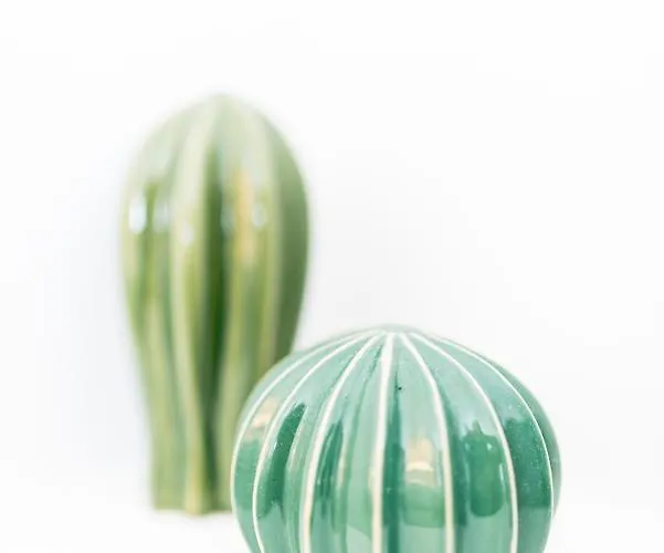 Agave Santorini Design Boutique אימרוביגלי